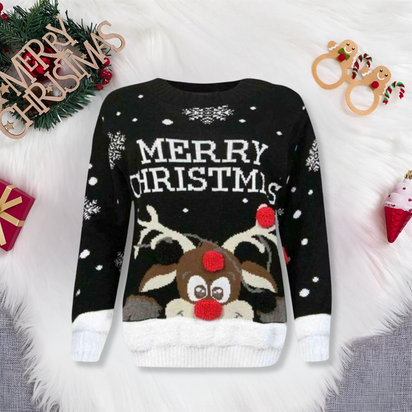 Girls Boys Xmas Jumper Reindeer Rudolph Knitted Christmas Jumper Kids Sweater