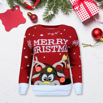 Girls Boys Xmas Jumper Reindeer Rudolph Knitted Christmas Jumper Kids Sweater
