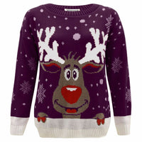 Girls Boys Xmas Jumper Reindeer Rudolph Knitted Christmas Jumper Kids Sweater