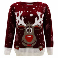 Girls Boys Xmas Jumper Reindeer Rudolph Knitted Christmas Jumper Kids Sweater
