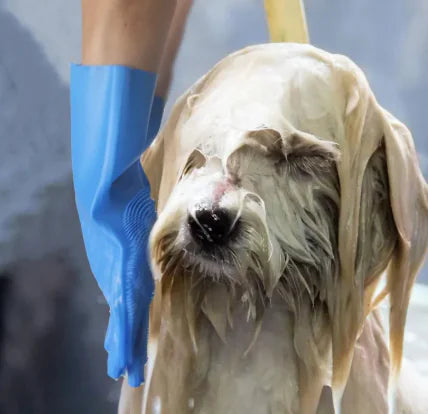 Pet Grooming Gloves - Ghemy.co.uk